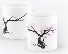 Cana termosensibila - Flori de cires