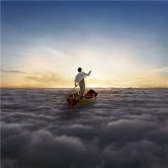 The Endless River Vinyl
