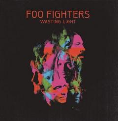 Wasting Light Vinyl
