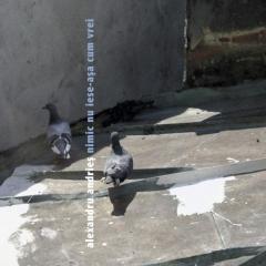 Nimic Nu Iese Asa Cum Vrei