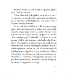 Jurnalul unei iubiri pierdute