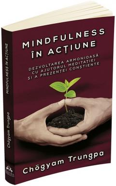 Mindfulness in actiune