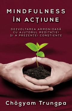 Mindfulness in actiune