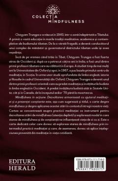 Mindfulness in actiune