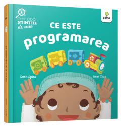 Ce este programarea