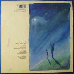 We Can't Dance - Vinyl