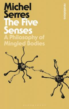The Five Senses