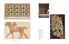 A History of Pictures