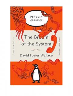 The Broom of the System