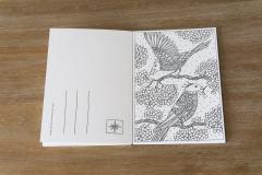 Carti postale - Winter Dreams - mai multe modele