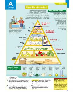 Enciclopedie pentru copii