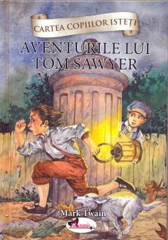 Aventurile lui Tom Sawyer