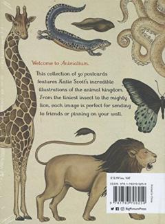 Carti postale - Animalium