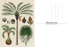 Carte postala - Botanicum - Welcome To The Museum