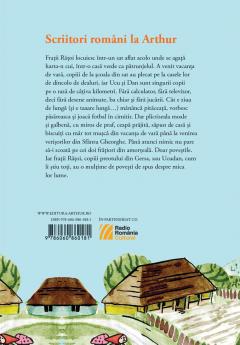 Plictisitoarea vacanta de vara a fratilor Ratoi