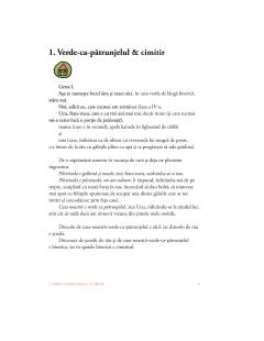 Plictisitoarea vacanta de vara a fratilor Ratoi