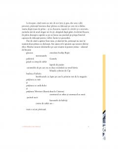 Plictisitoarea vacanta de vara a fratilor Ratoi