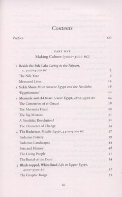 A History of Ancient Egypt