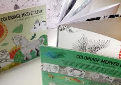 Set Carti postale - Coloriage Merveilleux