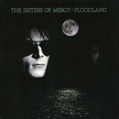 Floodland - Vinyl