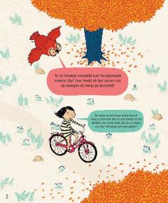 Cum functioneaza creierul uman