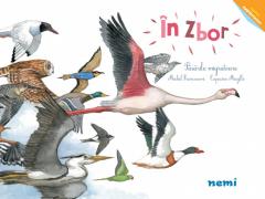 In zbor - Pasarile migratoare