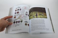 Forma urmeaza situatiei