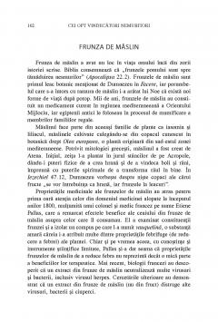 Cei opt vindecatori nemuritori