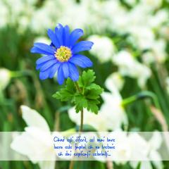 Dar din suflet si hartie