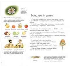 Sarbatoarea fructelor