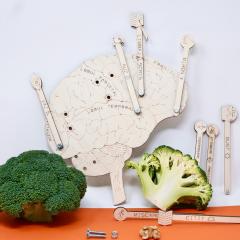 Kit Stiinta Mintii, 4-7 ani