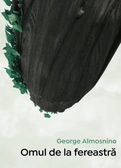 Omul de la fereastra