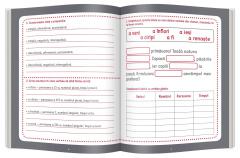 Caietul meu de vacanta. Clasa a IV-a. Limba romana si limba engleza