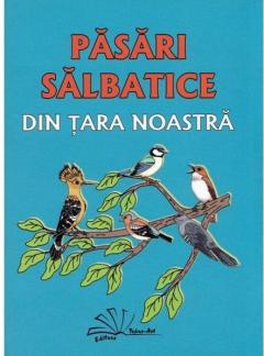 Pasari salbatice din tara noastra 