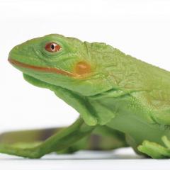 Figurina - Iguana Baby