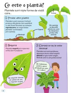 Intrebari si raspunsuri istete despre plante