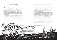 Woodlands and Forests