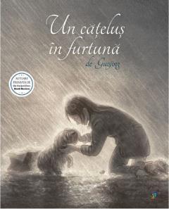 Un catelus in furtuna