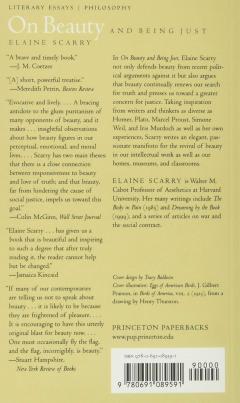 On Beauty and Being Just