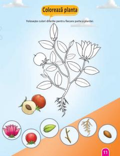 STEM: Stiinta - Carte de activitati