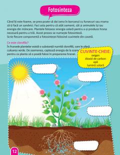 STEM: Stiinta - Carte de activitati