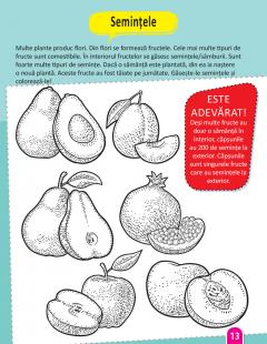 STEM: Stiinta - Carte de activitati