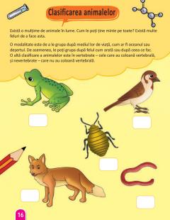 STEM: Stiinta - Carte de activitati