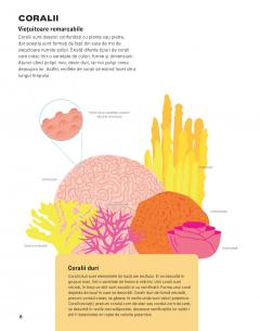 Sari si scufunda-te prin recif