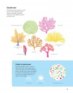 Sari si scufunda-te prin recif