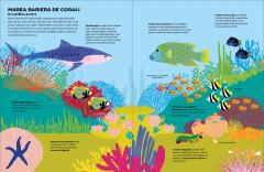 Sari si scufunda-te prin recif