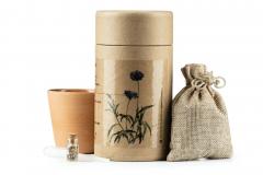 Kit Plantare Albastrea