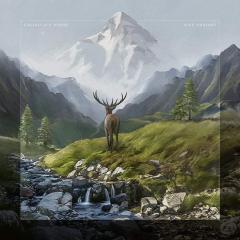 Rise Radiant Black - Vinyl