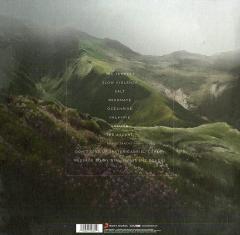 Rise Radiant Black - Vinyl