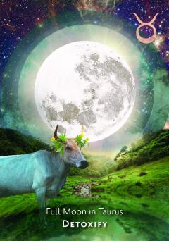 Moonology™ Manifestation Oracle: A 48-Card Deck and Guidebook